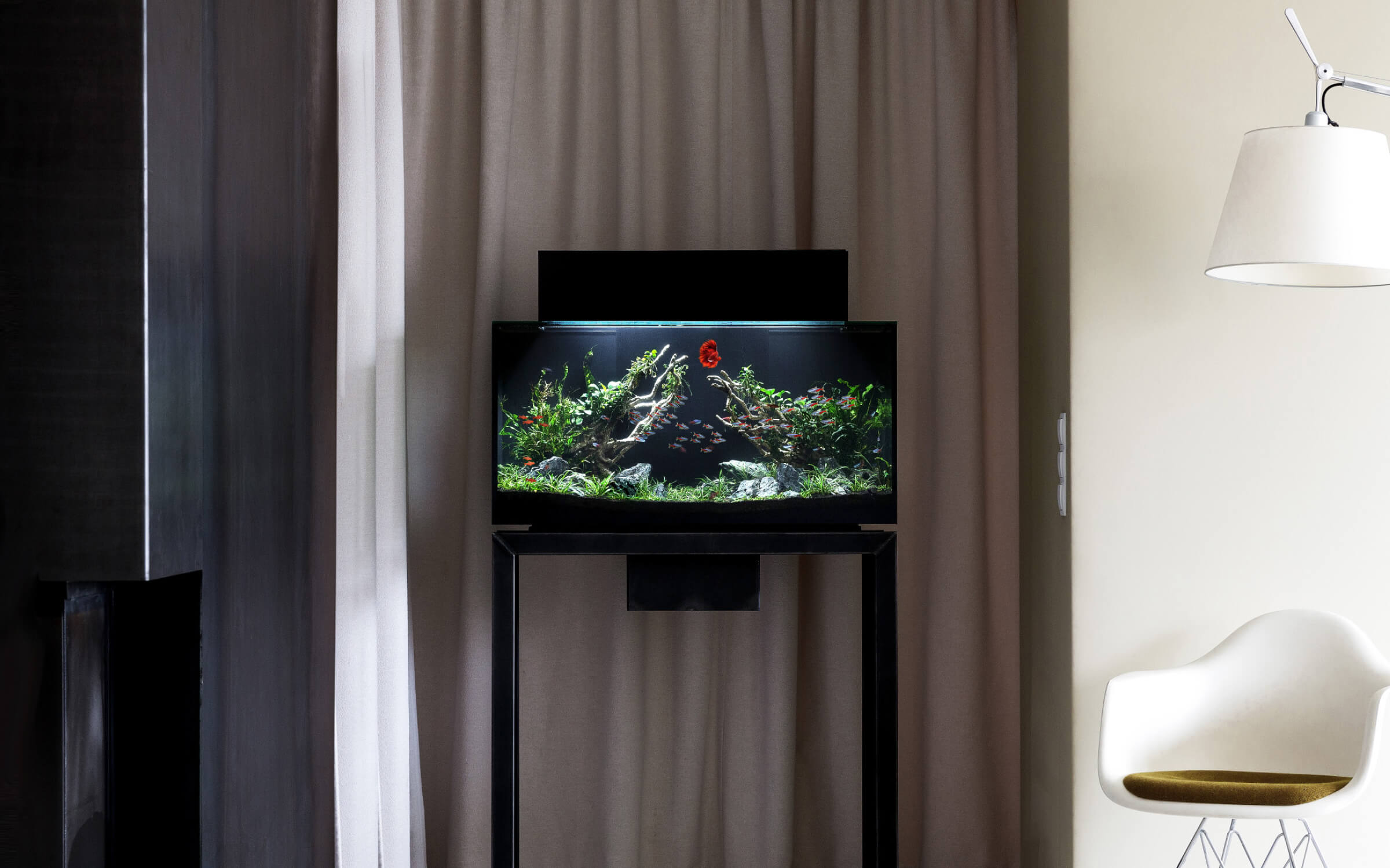 Livecube_Home_Pflege-Service_20220307