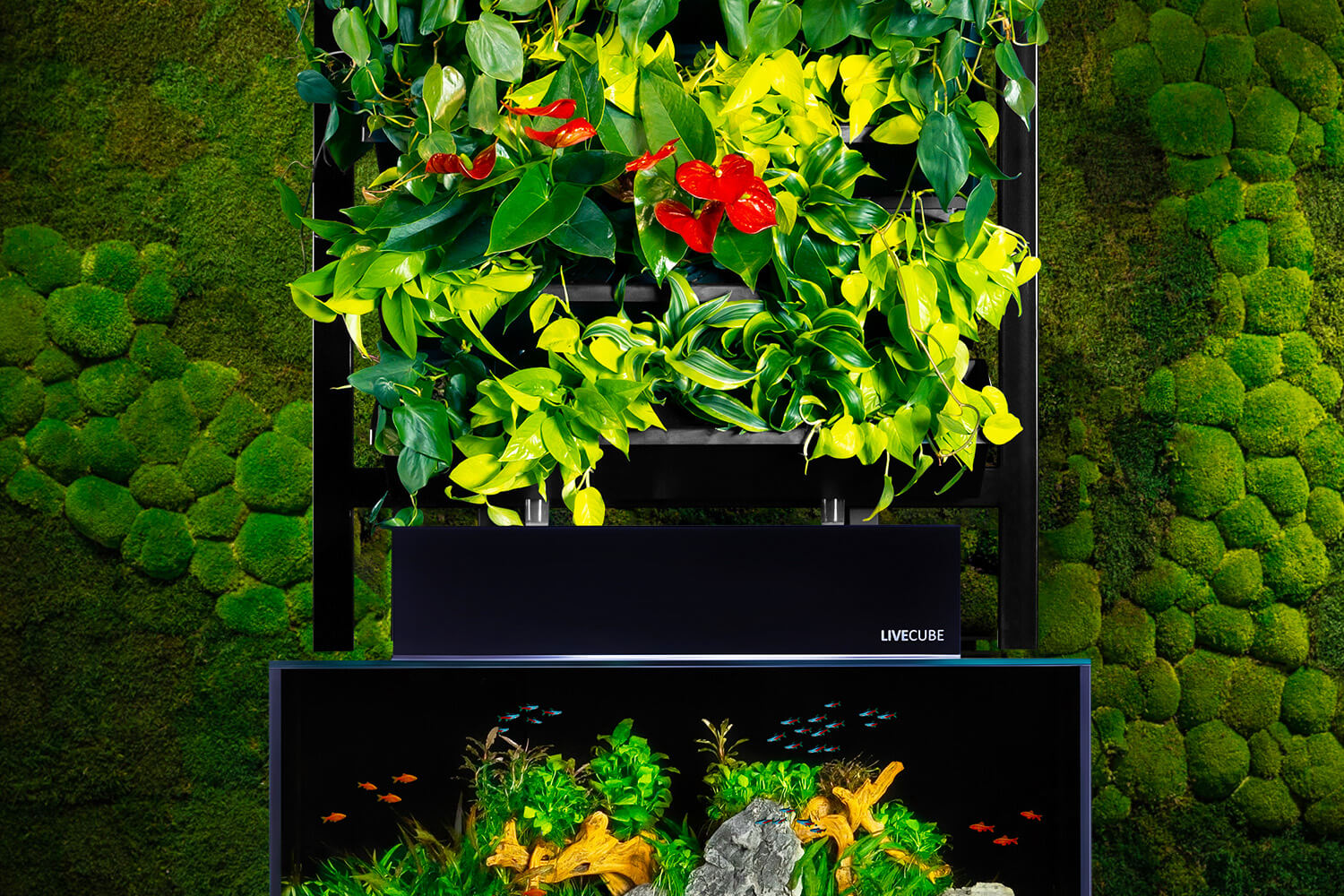 LIVECUBE Aquaponic