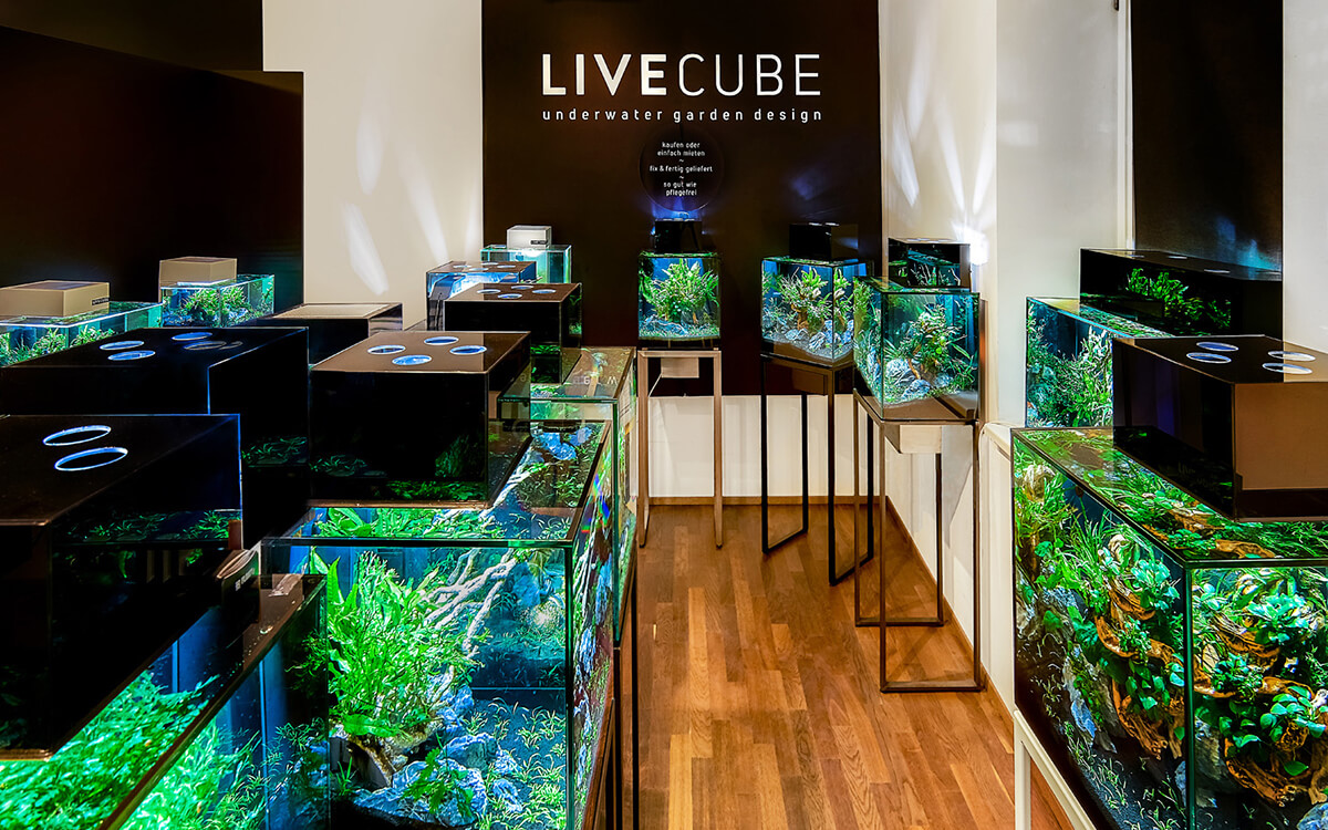 Livecube_Standort_ForschungEntwicklung